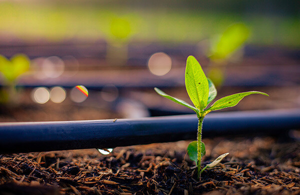 Irrigatiesysteem-tuin-2