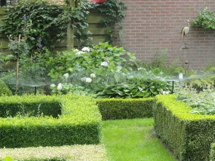 Beregeningsinstallatie met tuinsproeiers in Nunspeet.jpeg