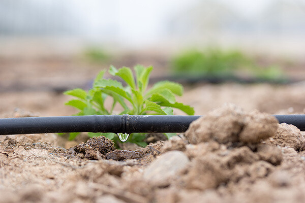 Irrigatiesysteem-tuin-3