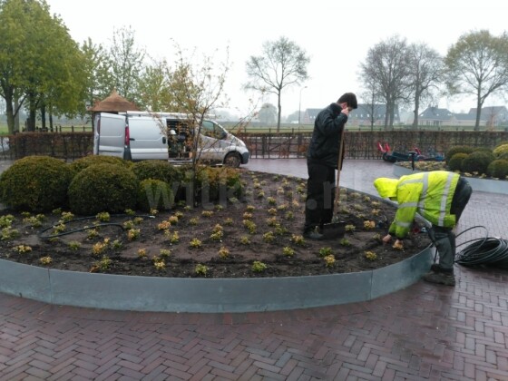 irrigatie-tuin-4