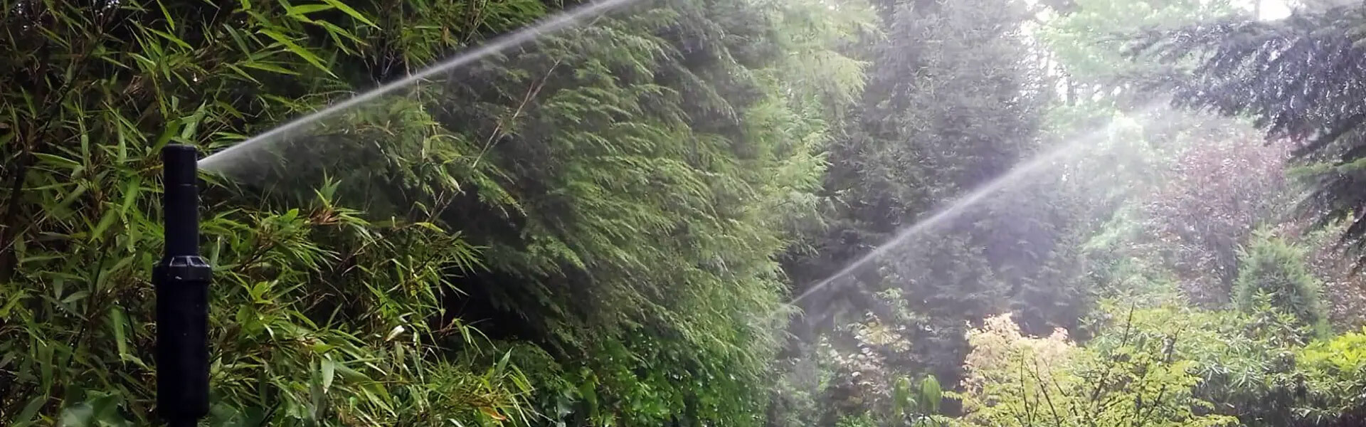 beregening-header-2