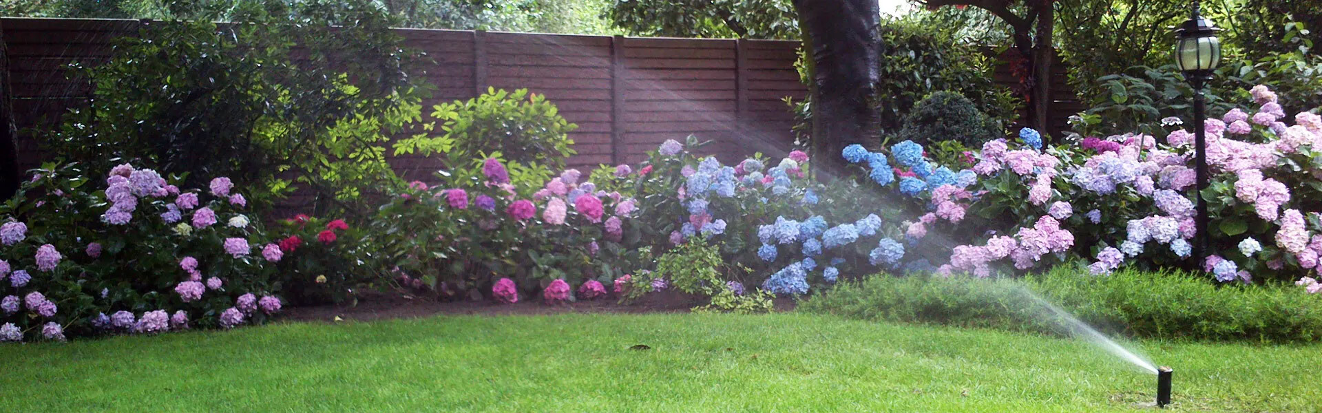 beregening-header-3