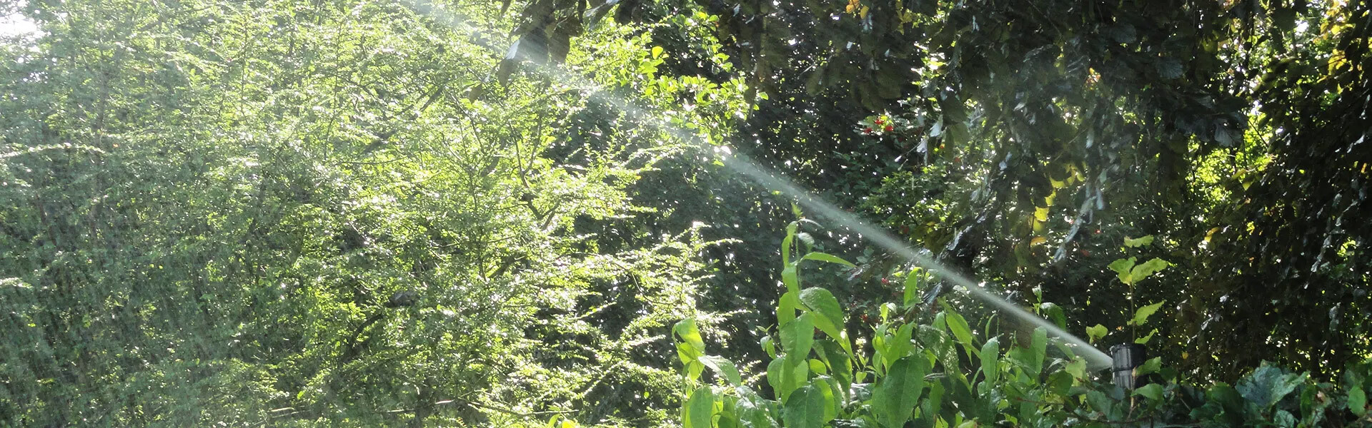 beregening-header-4