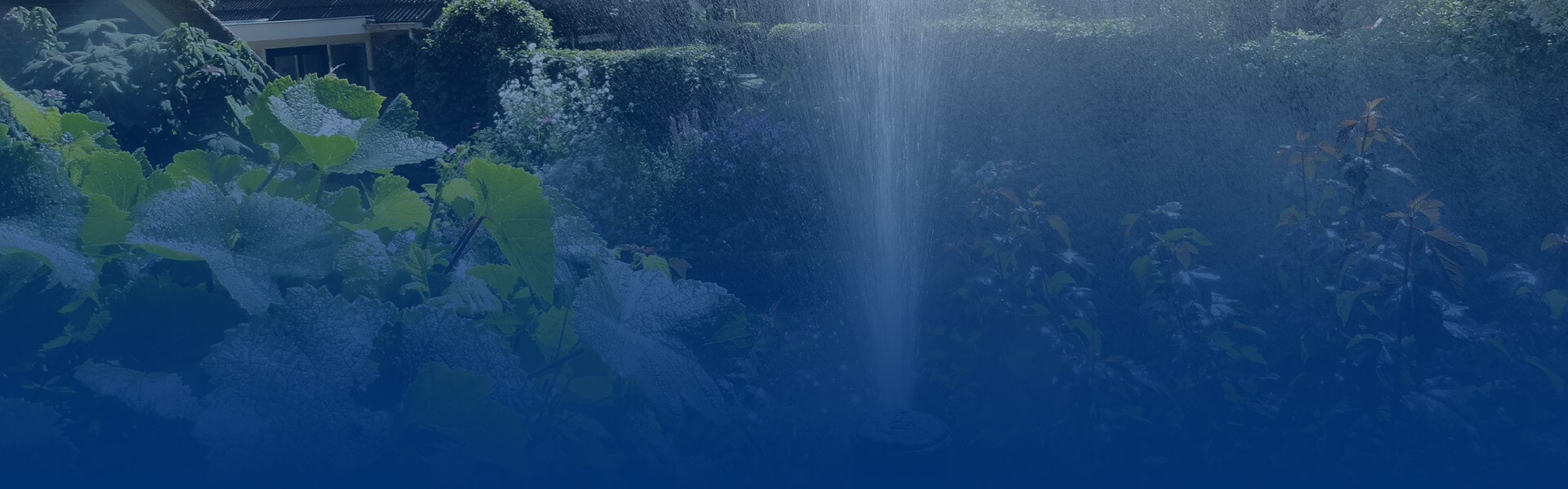 header-projecten-beregening