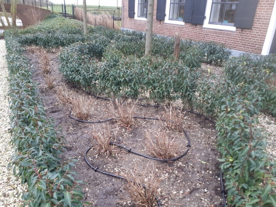 Automatische tuinberegening en sproeiers Vianen