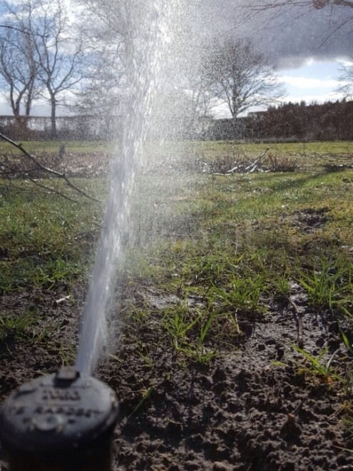 Beregening tuin met sproeiers in Empe