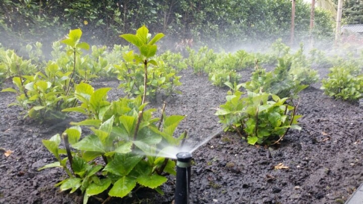 Aanleg tuin beregening in Apeldoorn